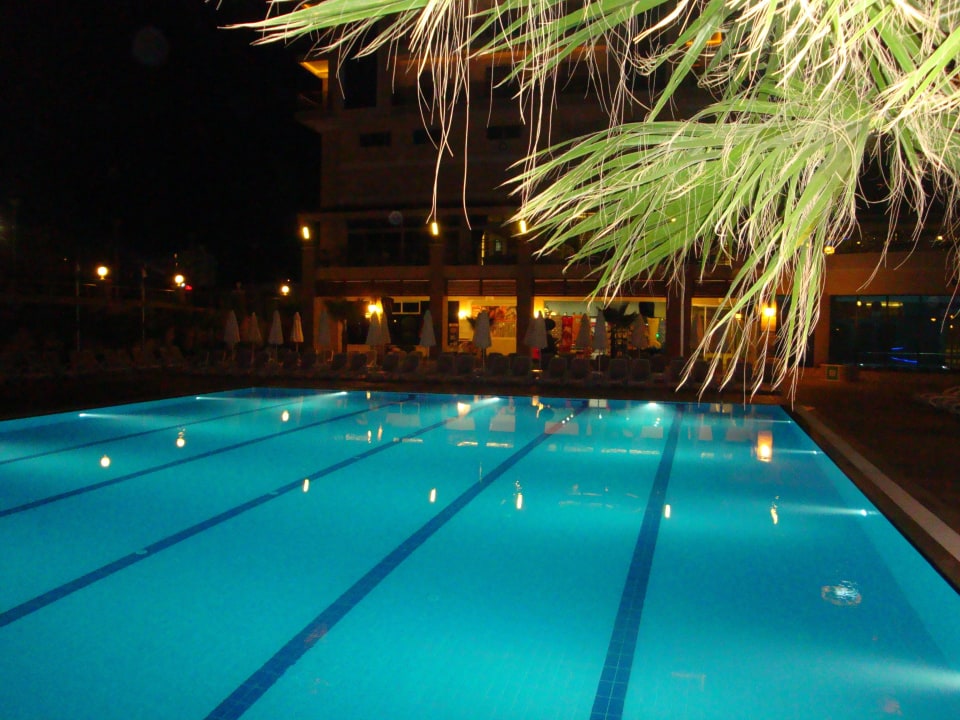 Super!!!!! Dizalya Palm Garden