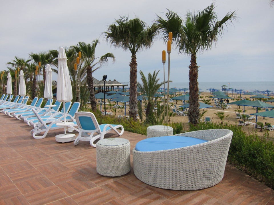 Schönster Liegeplatz Paloma Oceana