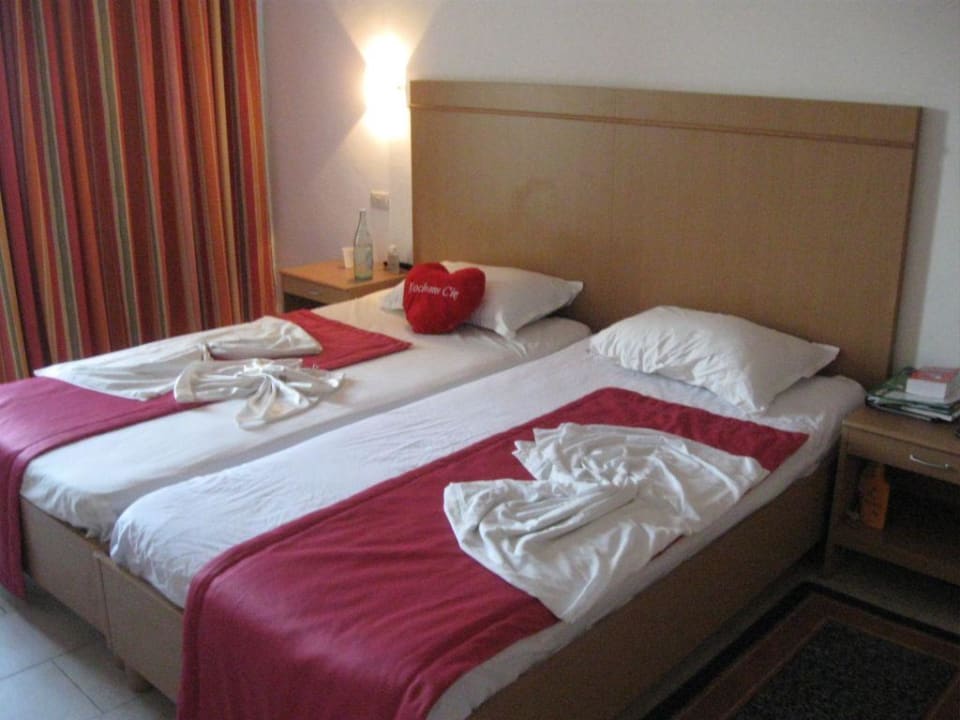 Nie odkryte Blue Reef Red Sea Resort