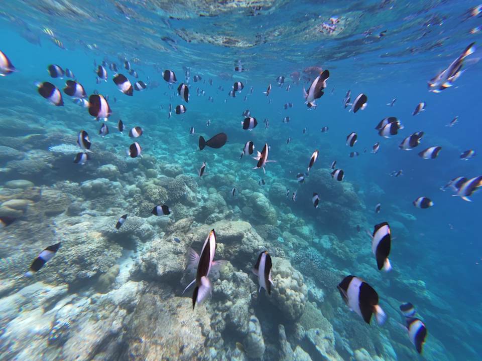 Sport & Freizeit Filitheyo Island Resort