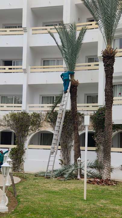 Gartenanlage Marhaba Royal Salem