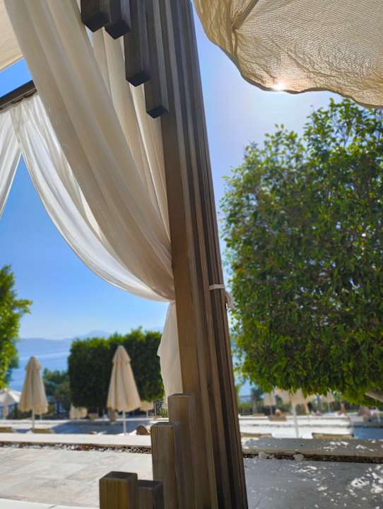 Pool TUI BLUE Seno - Adults Only