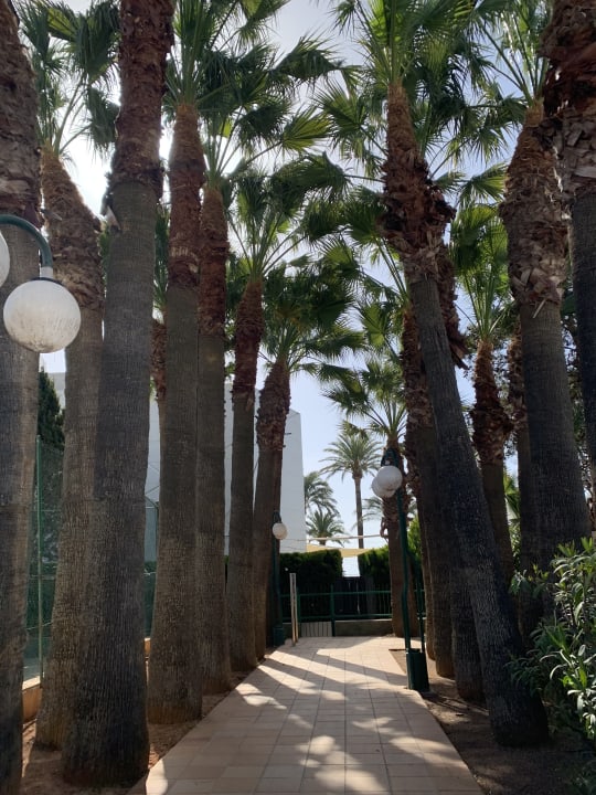 Gartenanlage The Ibiza Twiins