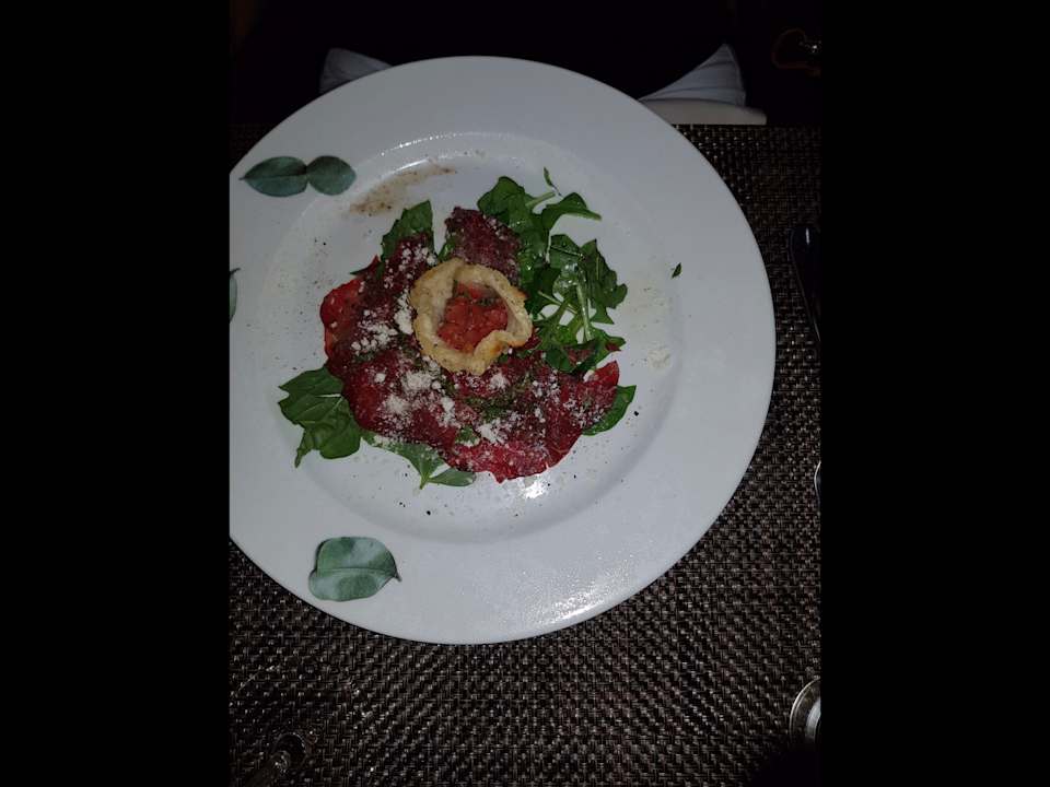 Gastro Acanthus Cennet Barut Collection