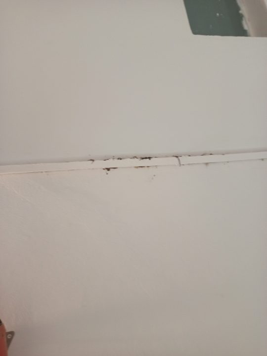 Zimmer Monarque Dar Jerba Zahra