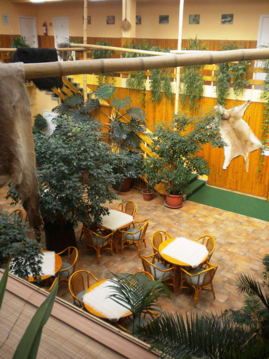 Hotel Jungle Hotel Dzsungel