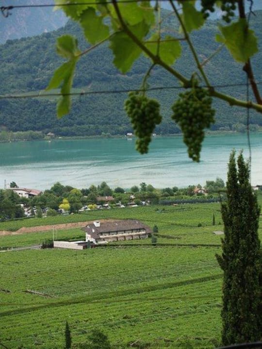Lage des Hotels zum See Hotel Sonnleitenhof Garni