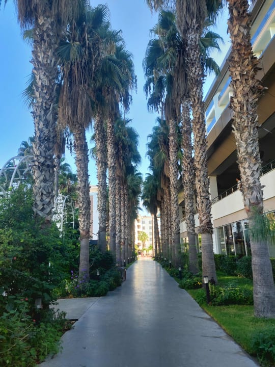 Gartenanlage Hotel Royal Garden Beach