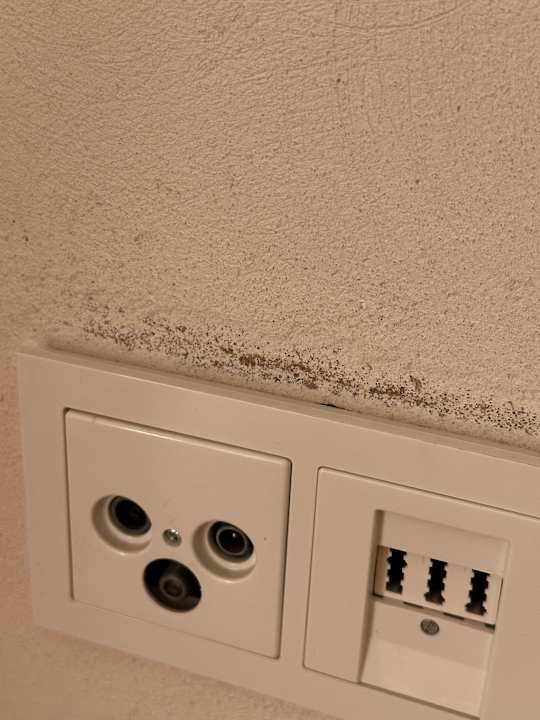 Zimmer Hus im Lee un Luv