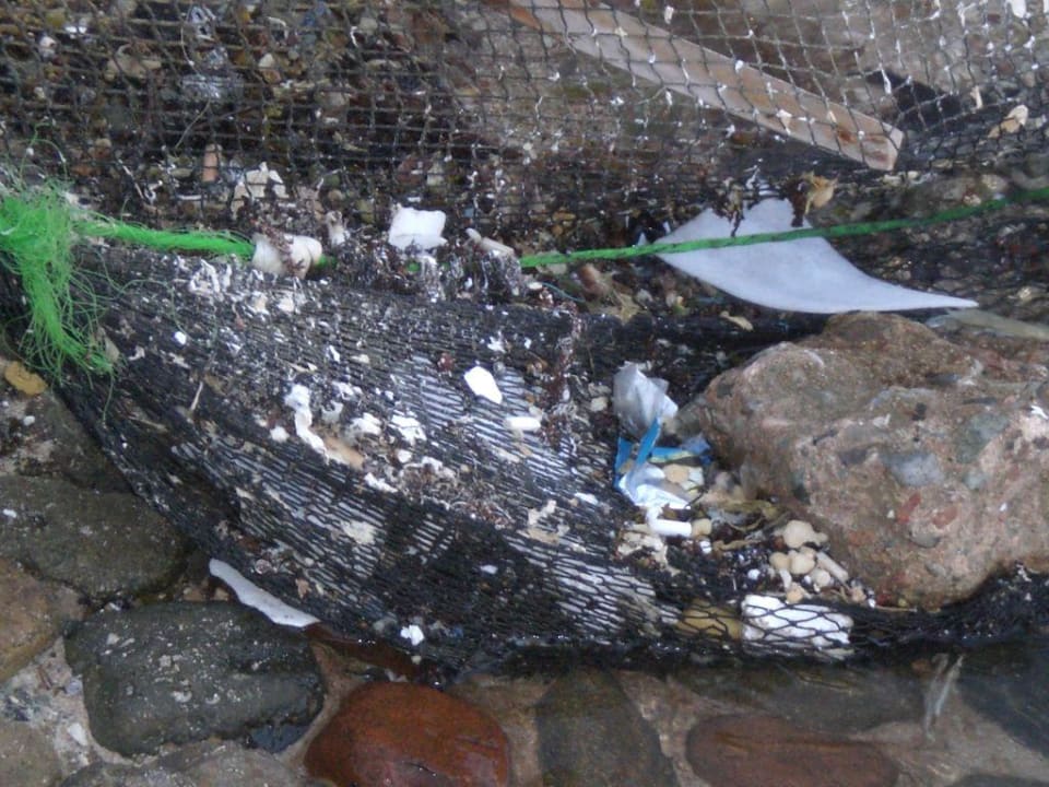 Dreck am Strand Sunny Days Palma De Mirette Resort & Spa