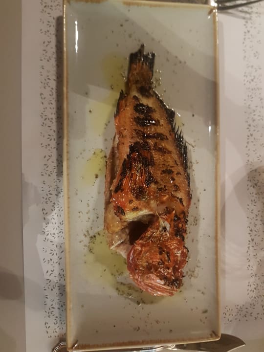 Gastro High Beach Resort