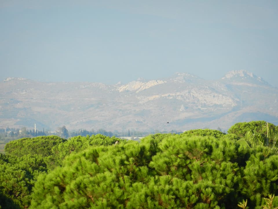 Xanadu  Xanadu Resort Hotel