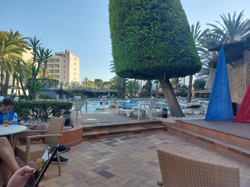Pool Aparthotel Marins Playa