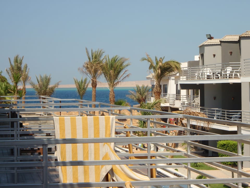 Výhled z pokoje Seagull Beach Resort