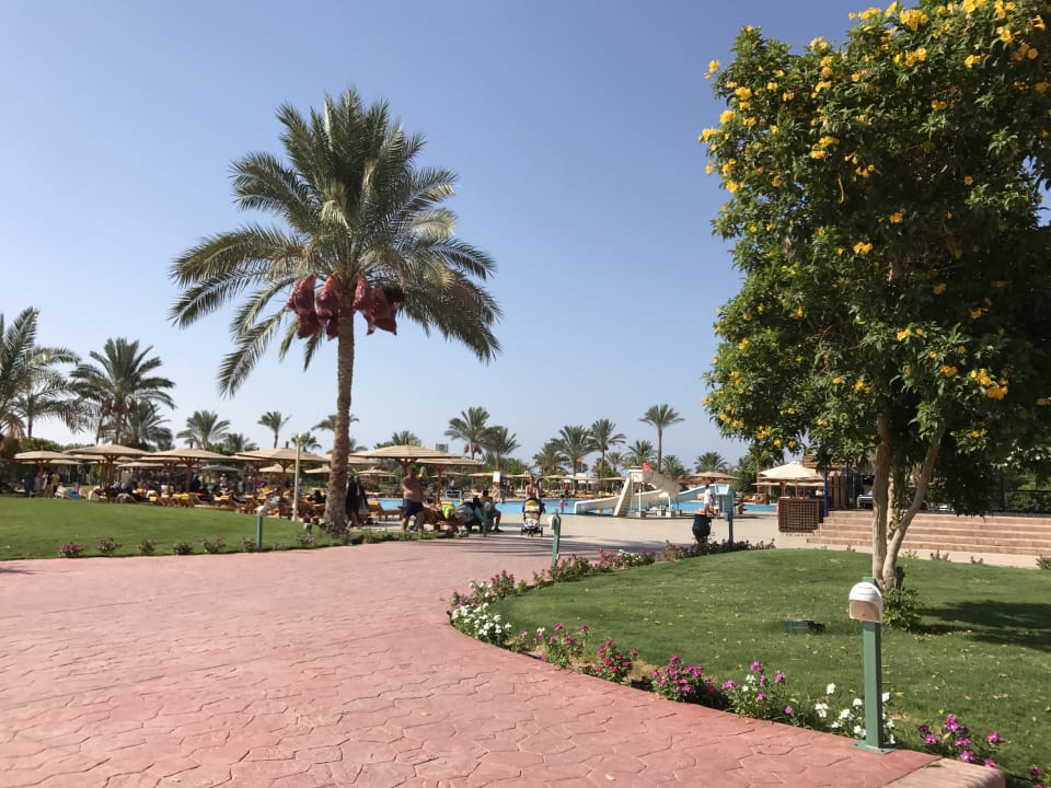 Außenansicht Desert Rose