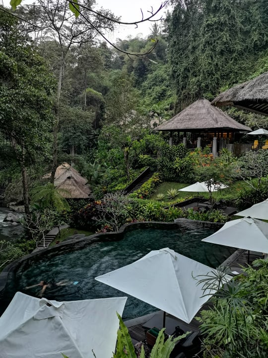 Pool im Dschungel Maya Ubud Resort & Spa Bali