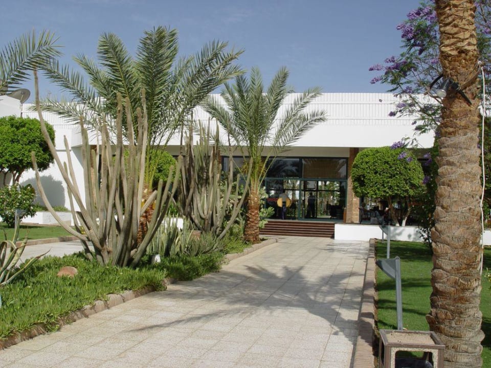 Blick vom Garten zum Haupthaus Ghazala Beach