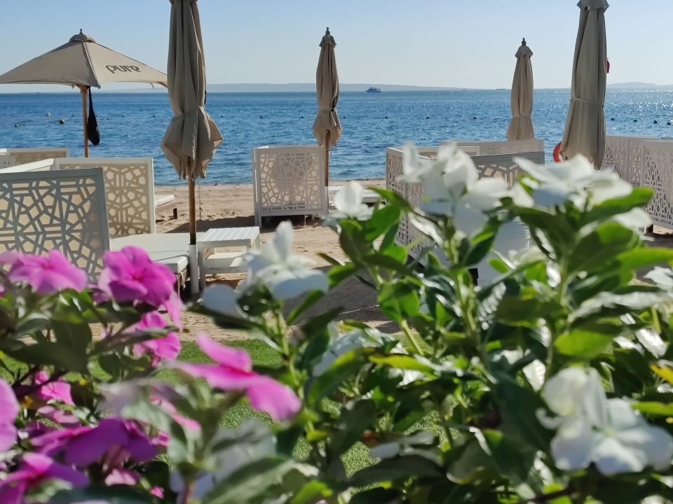 Strand Steigenberger Aqua Magic