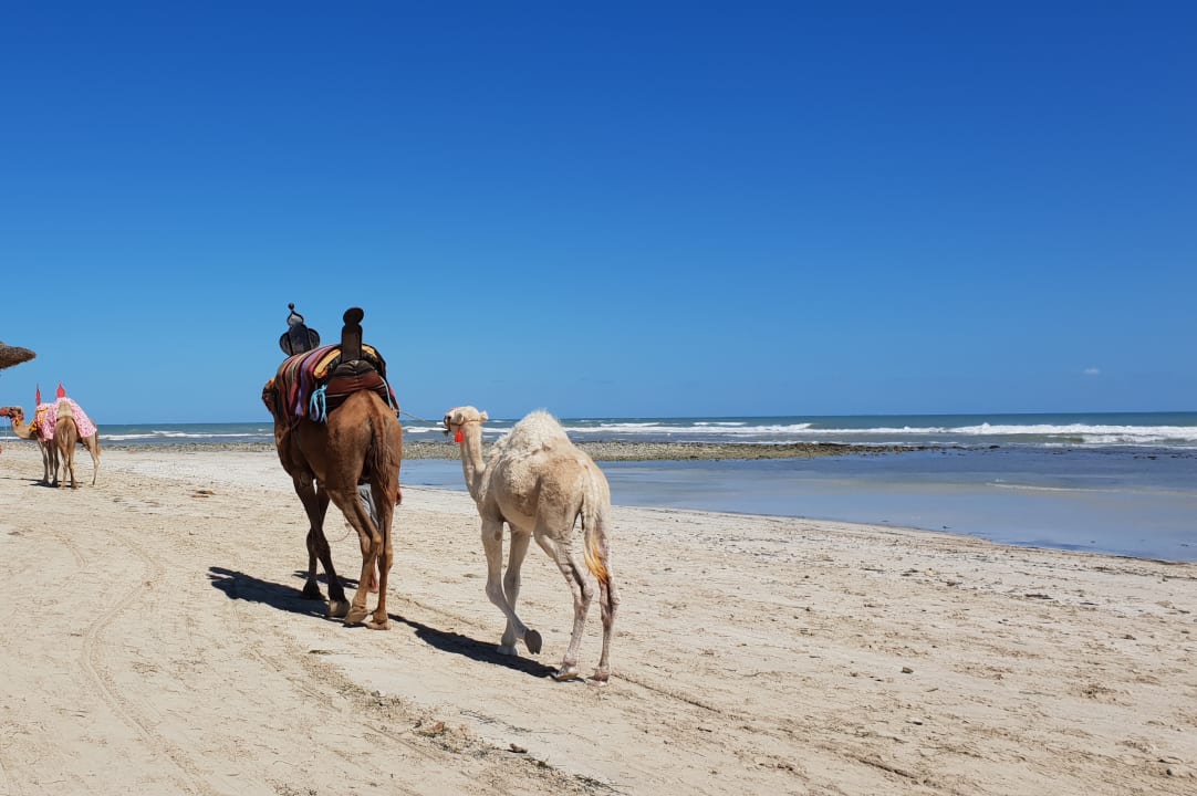 Strand ROBINSON DJERBA BAHIYA