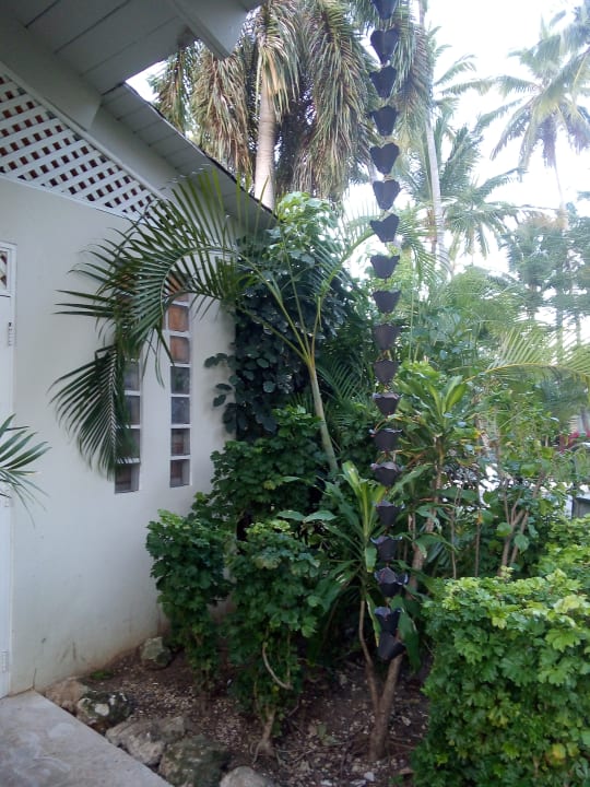 Gartenanlage Vista Sol Punta Cana