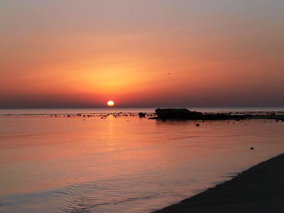 Sonnenaufgang Malikia Resort Abu Dabbab