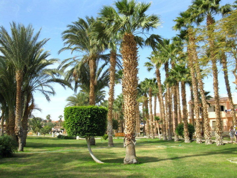 Albatros Beach Pickalbatros Aqua Park Resort - Hurghada