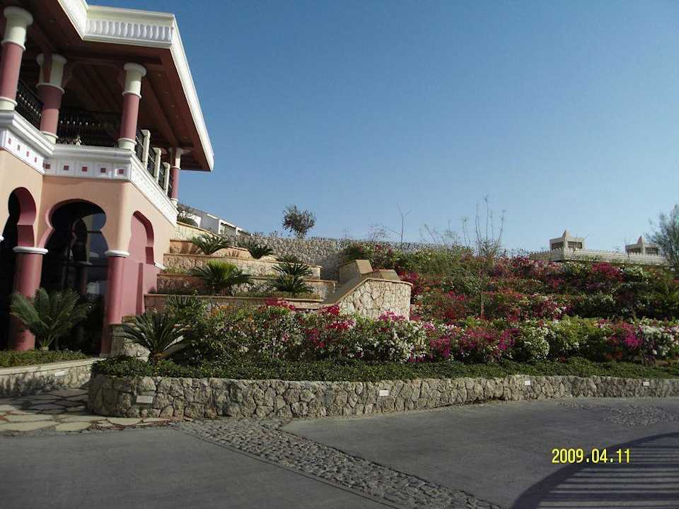 Gartenanlage Reef Oasis Blue Bay Resort