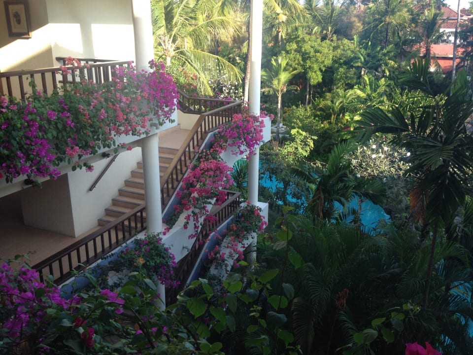 Gartenanlage The Laguna A Luxury Collection Resort & Spa