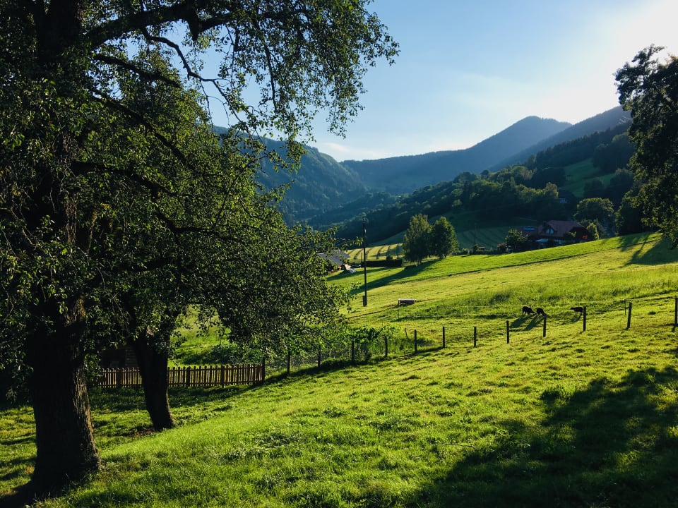 Gartenanlage AllesBauer