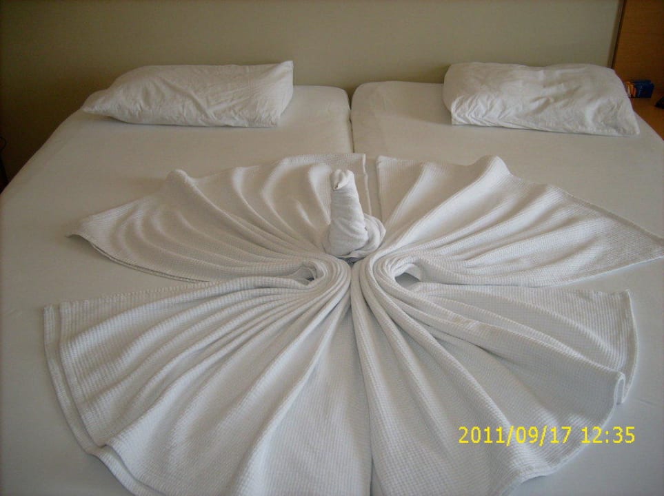 Taube auf Bett Solivia Hotel