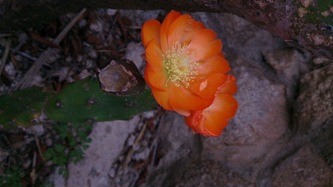 Giardino Residence La Meridiana