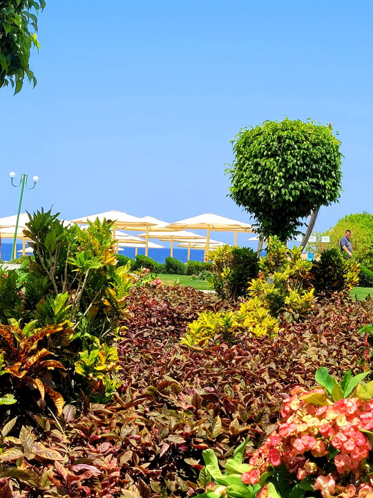 Gartenanlage Akassia Swiss Resort