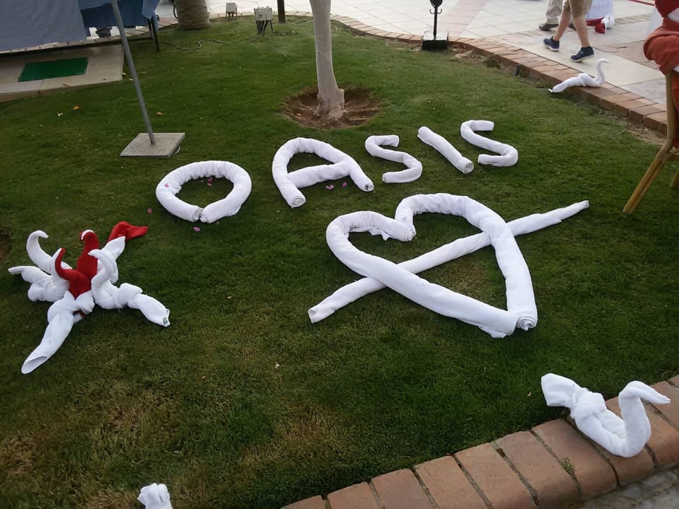 Beim Galadinner am 25.5. Jaz Makadi Oasis Resort