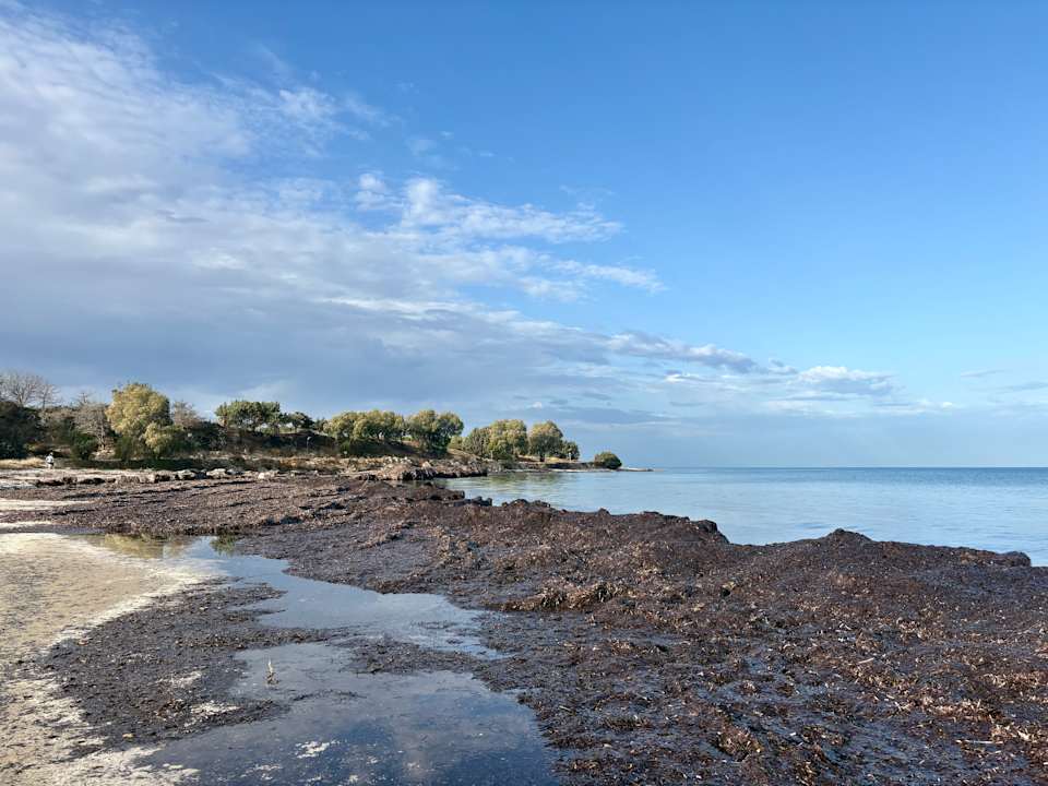 Strand Achilleas Beach Adults Only