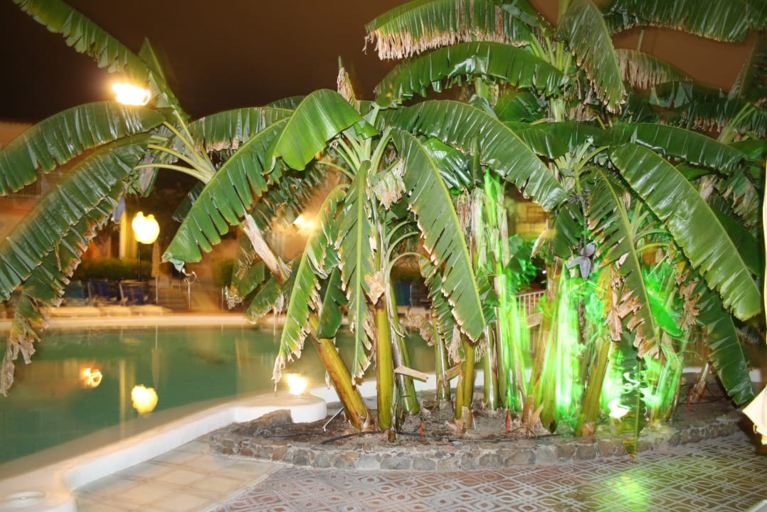 Pool Hotel Parque Nogal