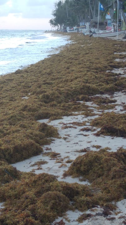 Strand Hotel Grand Palladium Palace Resort, Spa & Casino