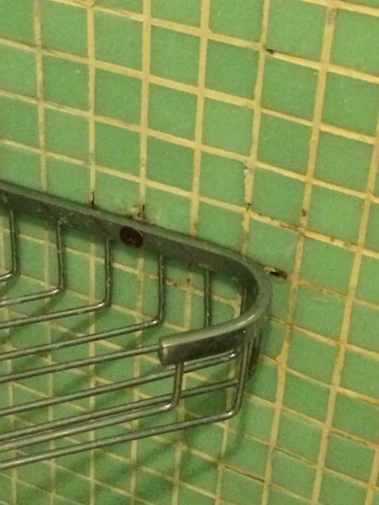 Dusche, Dreck und Schimmel Marvida Family Eco