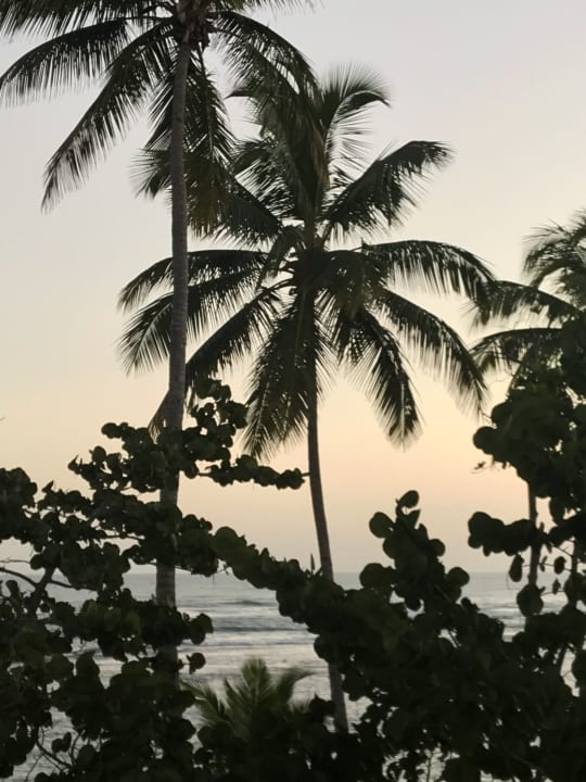 Ausblick Grand Paradise Playa Dorada