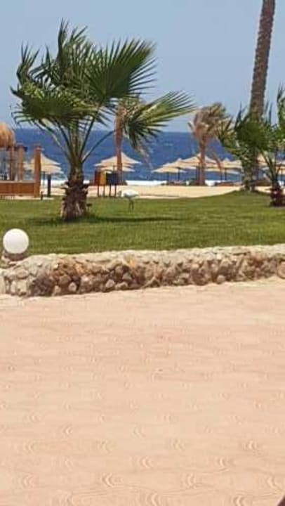 Strand Three Corners Sea Beach Resort