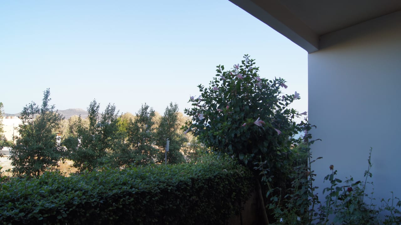 Meerblick (bitte suchen) Cretan Dream Resort & Spa