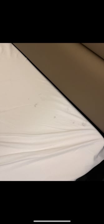 Zimmer Leonardo Royal Hotel Ulm