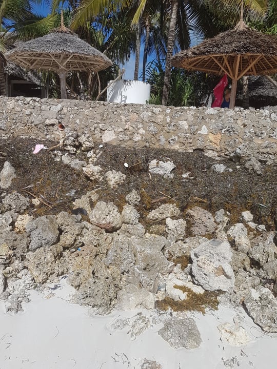 Strand Jaz Adonia Beach Resort