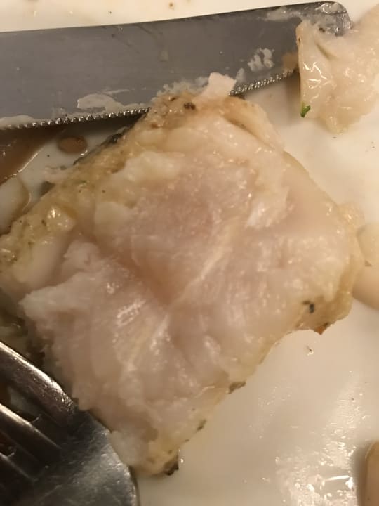 Gastro Grand Oasis Cancun