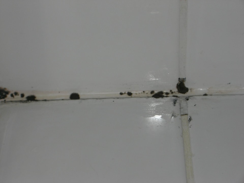 Schimmel Hotel Brauhof Wien