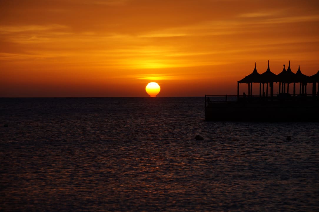 10 Beach Albatros Resort