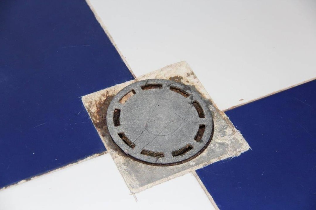 Lecker...Haare vom Vorgänger Royal Park Hotel & Aqua park