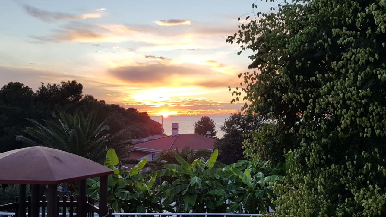 Zimmer Hotel Albatros Plava Laguna