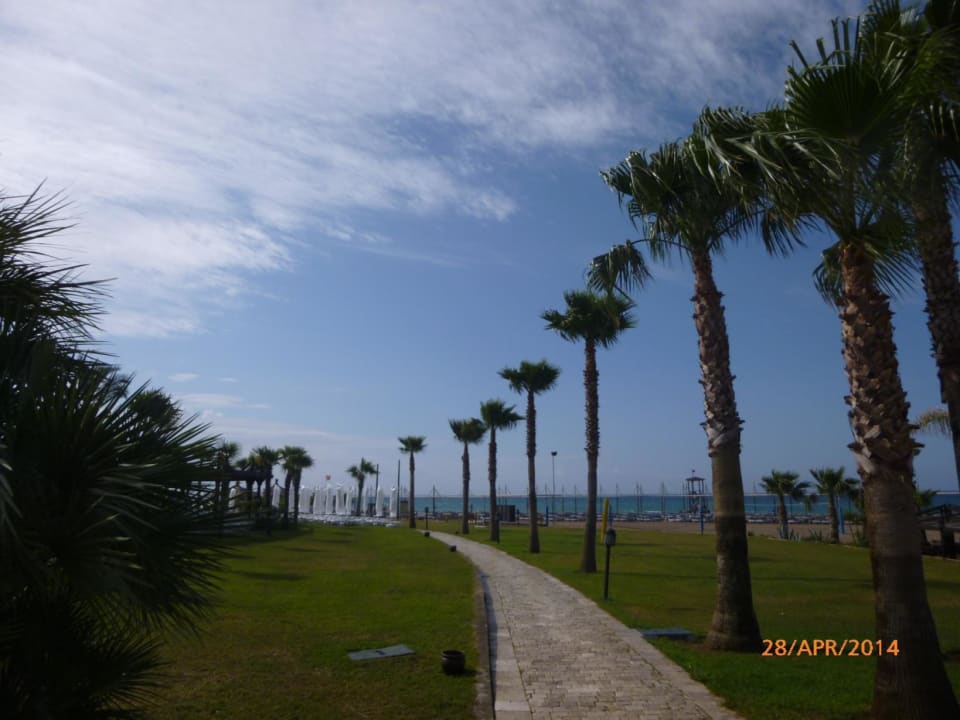 Blick zum Strand TUI BLUE Palm Garden