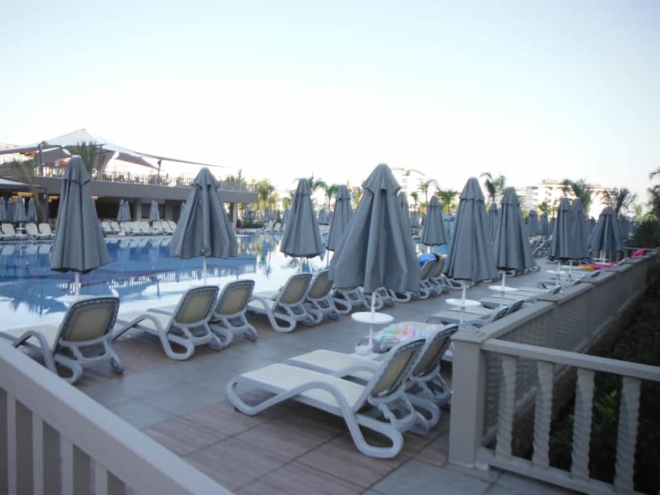 Royal Seginus Royal Seginus