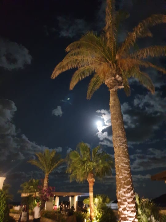 Gartenanlage Seaside A Lifestyle Resort